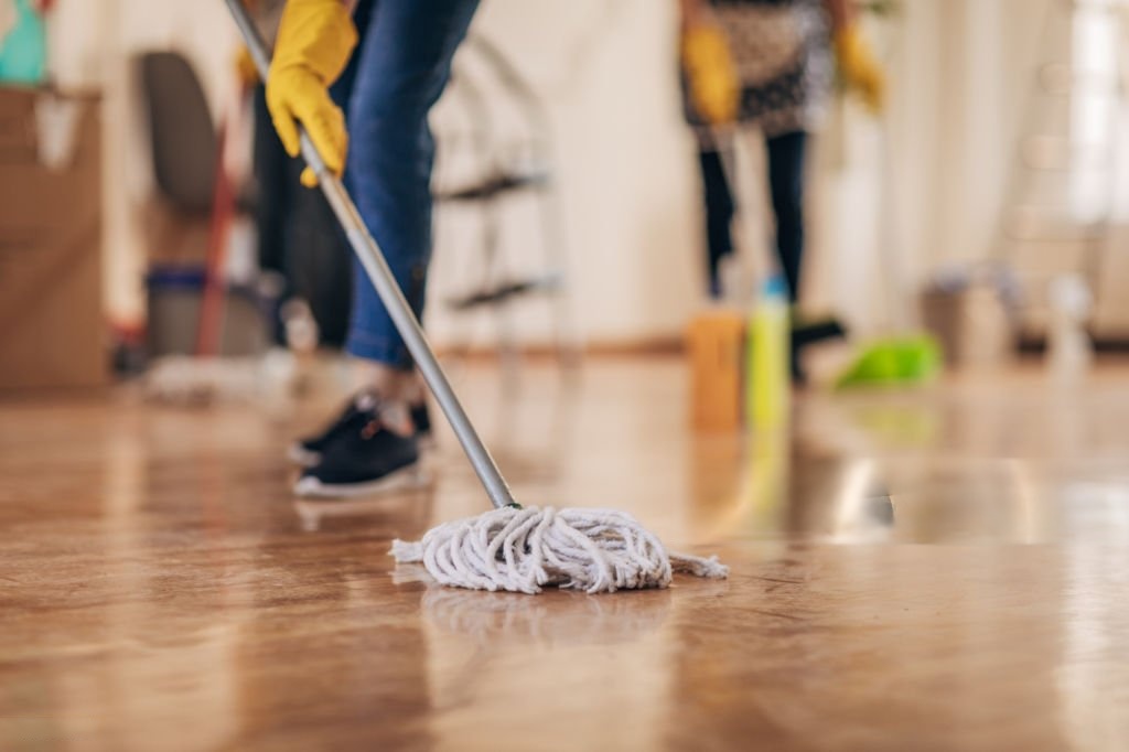 Professional Cleaning Services
